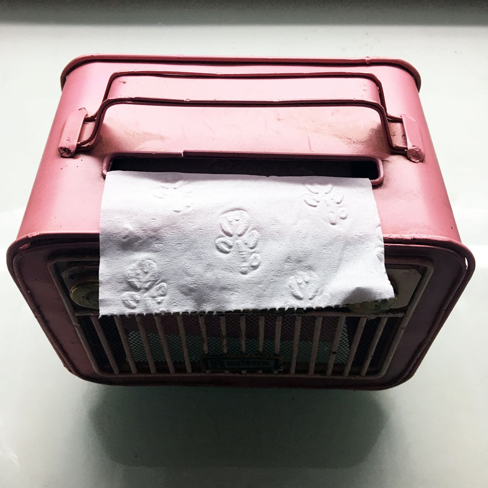 Rustic Metal Vintage Industrial Style Pink Radio Toilet Roll Holder